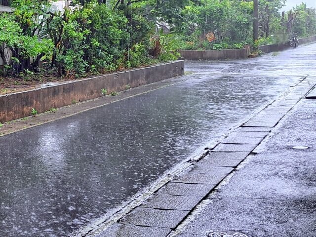 雨の日でもハチ駆除は可能？悪天候時の依頼ポイント